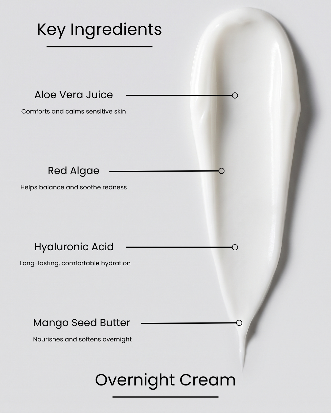 SILNT Overnight Cream key ingredients over a cream swatch: Aloe Vera Juice (comforts sensitive skin), Red Algae (soothes redness), Hyaluronic Acid (hydration), Mango Seed Butter (nourishes overnight)