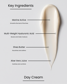 SILNT Day Cream key ingredients over a cream swatch: Marine Active (smooths fine lines), Multi-Weight Hyaluronic Acid (boosts and holds moisture), Shea Butter (nourishes and softens), Aloe Vera Juice (soothes and comforts)