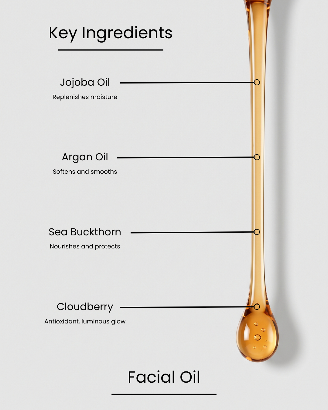 SILNT Facial Oil key ingredients over an amber oil swatch: Jojoba Oil (replenishes moisture), Argan Oil (softens and smooths), Sea Buckthorn (nourishes and protects), Cloudberry (antioxidant, luminous glow)